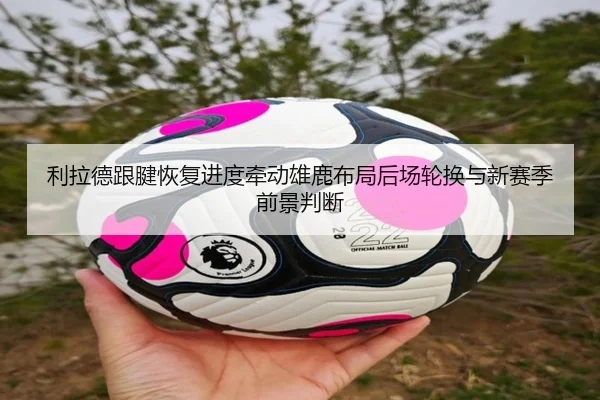 利拉德跟腱恢复进度牵动雄鹿布局后场轮换与新赛季前景判断